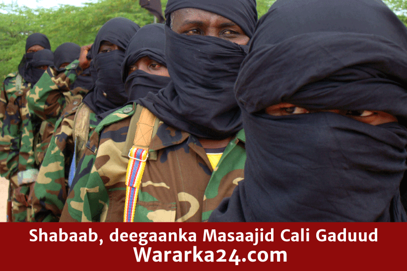 shabaab