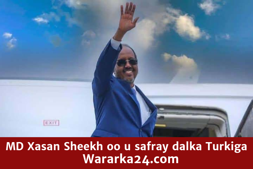 Xasan Sheekh Maxamuud