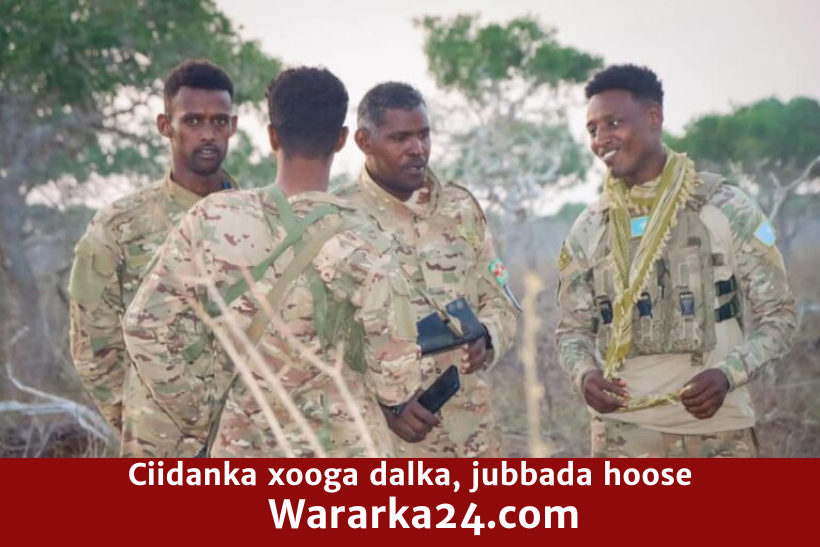 Ciidanka