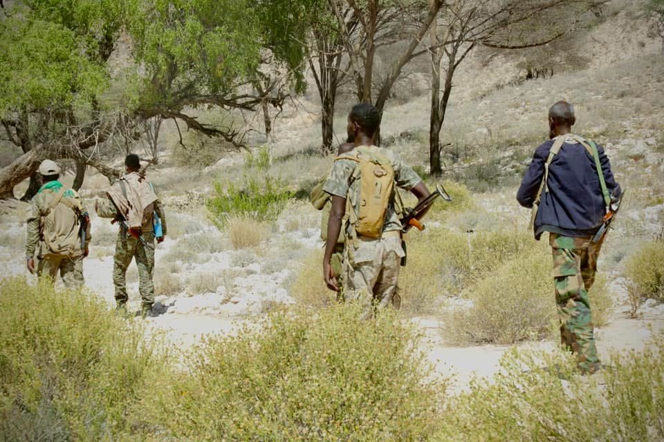 Ciidanka Difaaca Puntland