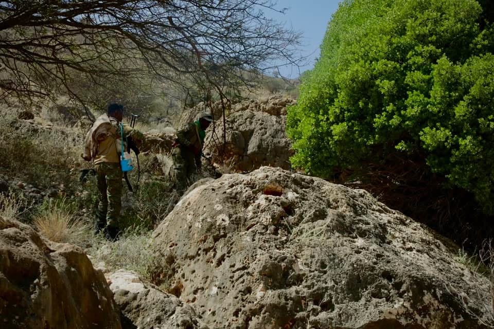 Ciidanka Difaaca Puntland