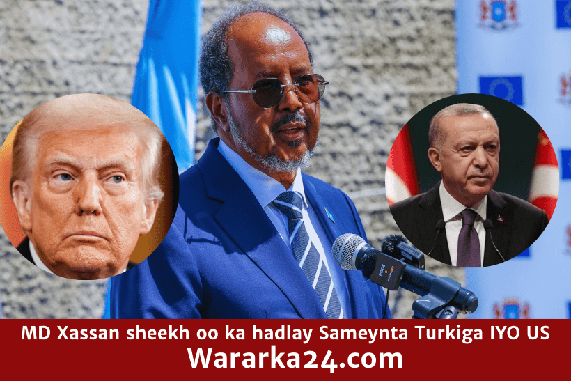 Xassan sheekh