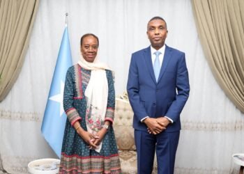 Ra’iisul Wasaare Xamsa Cabdi Barre Oo La Kulmay Ku-xigeenka Agaasimaha Guud ee IOM