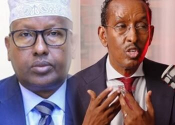 Wasiirkii Hore Ee Arrimaha Dibadda Soomaaliya Axmed Ciise Oo Ka Jawaabay Hadalka Wasiir Fiqi