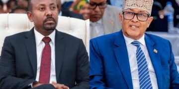 Itoobiyaanka Hargeysa lagu weeraray, Maxaa dhacay?