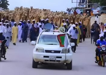 Daawo: 1200 neef oo geel ah ayaa lagu soo bandhigay Muqdisho, iyo Dooda Ka dhalatay?