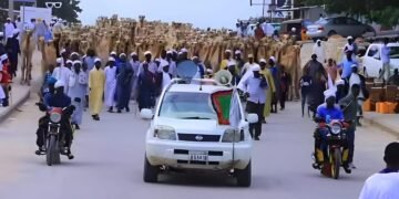 Daawo: 1200 neef oo geel ah ayaa lagu soo bandhigay Muqdisho, iyo Dooda Ka dhalatay?