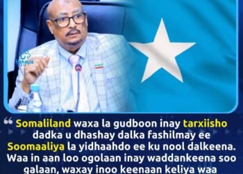 Faysal Cali Waraabe oo ku baaqay in la tarxiilo dadka Koonfurta Soomaaliya ee ku nool Somaliland