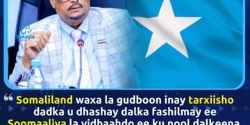 Faysal Cali Waraabe oo ku baaqay in la tarxiilo dadka Koonfurta Soomaaliya ee ku nool Somaliland