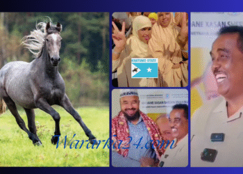 Wasiirka arrimaha gudaha