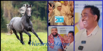 Wasiirka arrimaha gudaha