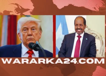 Maraykanka iyo DF oo duqayn ku dilay horjooge Al-Shabaab ah