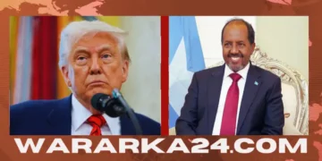 Maraykanka iyo DF oo duqayn ku dilay horjooge Al-Shabaab ah