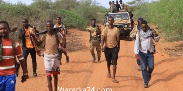 Ciidamada Macawiisleeyda oo weerar culus ku qaaday Al-Shabaab deegaanka Goobo ee gobolka Hiiraan