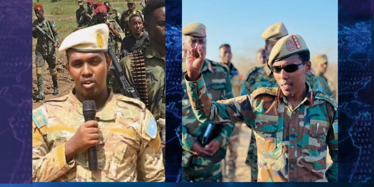 Ciidanka Xoogga Dalka