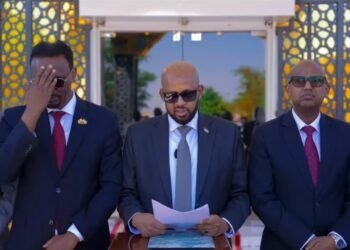 Somaliland oo afar qodob ka soo saartay arrimaha eVisa iyo maamulka hawada..