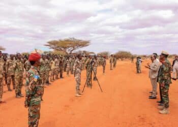 DF oo ruqseysay tiro kamid ah Ciidanka Xoogga Dalka iyo sababta