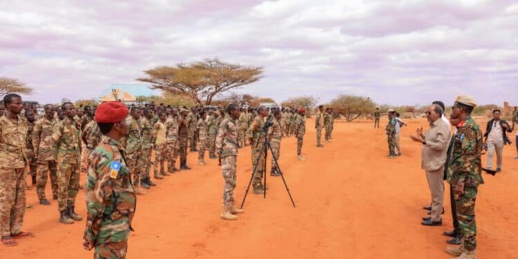 DF oo ruqseysay tiro kamid ah Ciidanka Xoogga Dalka iyo sababta