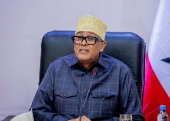 Madaxweynaha Somaliland oo sheegay in Somaliland ay la kulmayso cadaawad badan