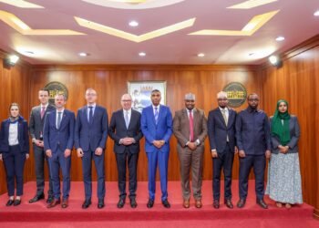 Ra’iisul Wasaare Xamsa oo la kulmay Wasiiru Dowlaha Iskaashiga Dhaqaalaha Jarmalka