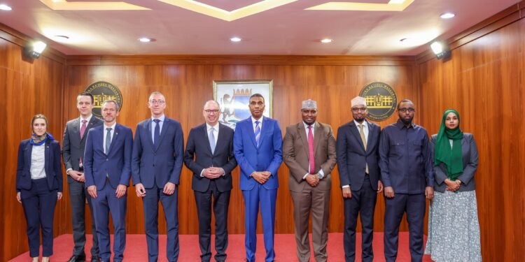 Ra’iisul Wasaare Xamsa oo la kulmay Wasiiru Dowlaha Iskaashiga Dhaqaalaha Jarmalka