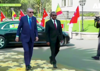 Erdoğan Oo Ka Digay In Soomaaliya Iyo Geeska Afrika Loo Rogto Goob Loollan Shisheeye