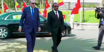 Erdoğan Oo Ka Digay In Soomaaliya Iyo Geeska Afrika Loo Rogto Goob Loollan Shisheeye