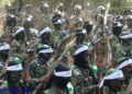 Hay’adda NISA Aya baahisay howlgal lagu dilay 7 xubnood oo Shabaab ah oo kadacay….