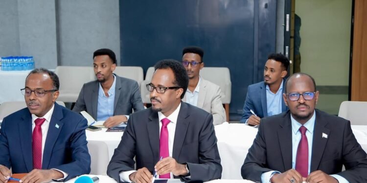 DF Soomaaliya iyo Maraykanka oo ka wada hadlay maalgashiga shidaalka iyo kheyraadka dabiiciga ah