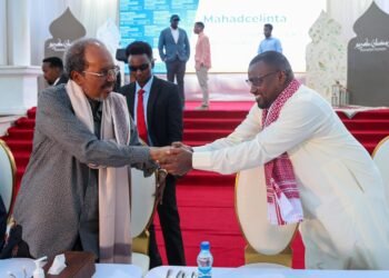 Madaxweyne Xasan Sheekh oo Xildhibaannada Labada Aqal Ku Maamuusay Kulan Afur ah