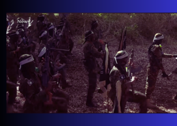 DF oo ka oo fashilisay abaabul ay Al-Shabaab ka wadeen laba gobol