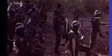 DF oo ka oo fashilisay abaabul ay Al-Shabaab ka wadeen laba gobol