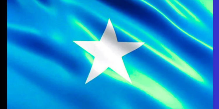 Bayaan ka soo baxay Dowladda Federaalka Soomaaliya oo hadal-hayn weyn abuuray kadib…