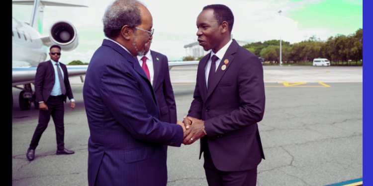 Madaxweyne Xasan Sheekh oo Gaaray Magaalada Arusha ee Tanzania