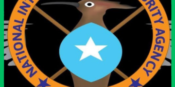 Howlgallo NISA ka fulisay Hiiraan iyo Mudug oo lagu dilay 22 ka tirsan Al-Shabaab