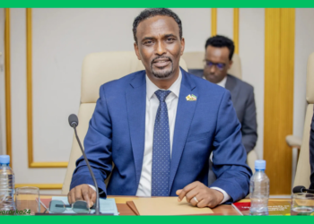 Somaliland oo beenisay wararka ku saabsan saldhig ciidan oo Israa’iil ka sameysanayso Berbera