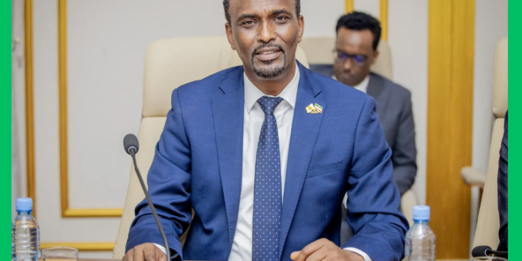 Somaliland oo beenisay wararka ku saabsan saldhig ciidan oo Israa’iil ka sameysanayso Berbera