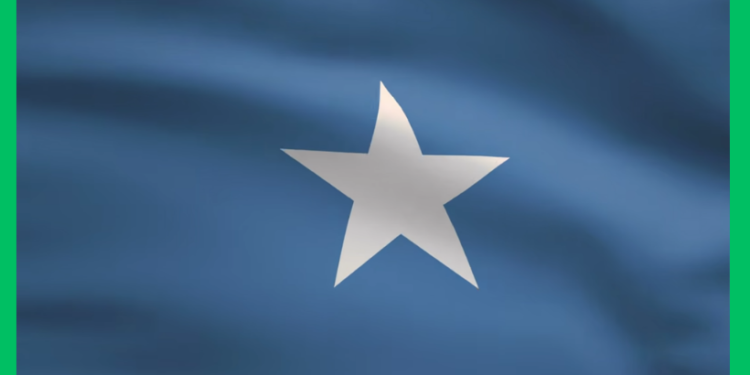 DFS oo War Kasoo Saartay Xaaladda Koonfur Galbeed, Baaqna Dirtay