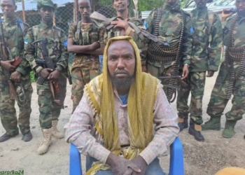 Ciidamada Jubbaland oo qabtay xubin ka tirsan Al-Shabaab Afmadow iyo sawiro