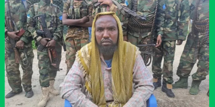 Ciidamada Jubbaland oo qabtay xubin ka tirsan Al-Shabaab Afmadow iyo sawiro