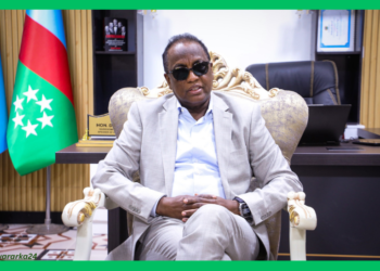 Koonfur Galbeed oo ka digtay adeegsiga ciidanka qaranka ee siyaasadda