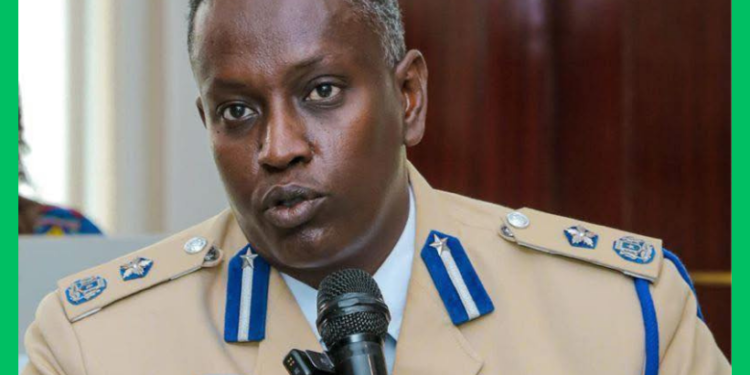 DF Soomaaliya oo taliye cusub u magacowday Booliska Baay