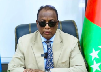 Koonfur Galbeed oo ku eedeysay DF adeegsiga hub dibadda laga keenay