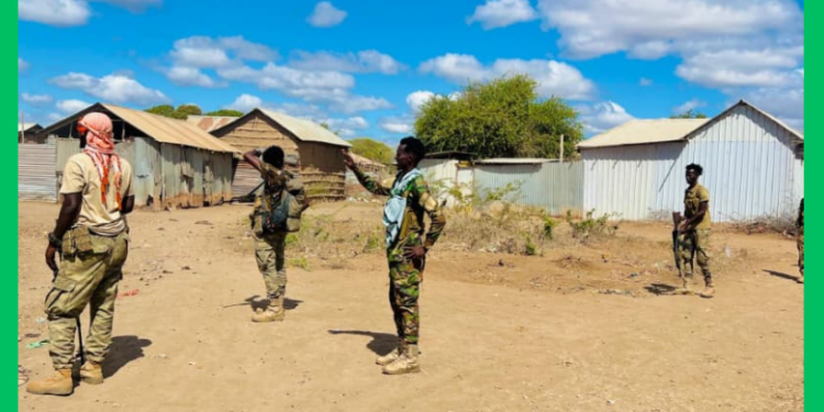 Ciidamada Xoogga oo howlgallo culus ka fuliyay Shabeellaha Hoose