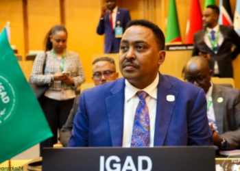 IGAD oo ku baaqday wada hadal iyo is xakameyn lagu xalliyo Xaaladda Koonfur Galbeed