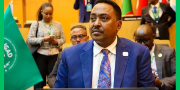 IGAD oo ku baaqday wada hadal iyo is xakameyn lagu xalliyo Xaaladda Koonfur Galbeed