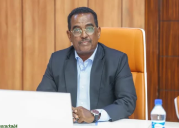 DF Soomaaliya oo maamul cusub u magacowday Shabeellaha Hoose