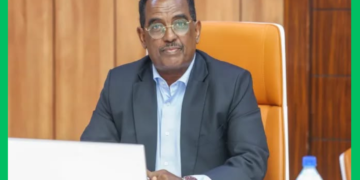 DF Soomaaliya oo maamul cusub u magacowday Shabeellaha Hoose