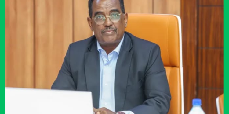 DF Soomaaliya oo maamul cusub u magacowday Shabeellaha Hoose