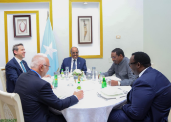 Madaxweyne Xasan Sheekh oo la kulmay wasiirka tamarta Turkiga